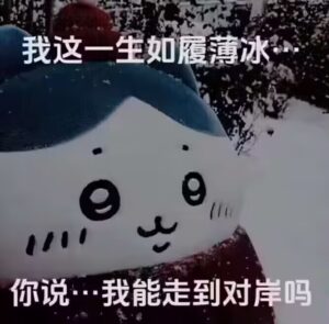 我这一生如履薄冰,你说,我能走到对岸吗?(21 岁生日总结)