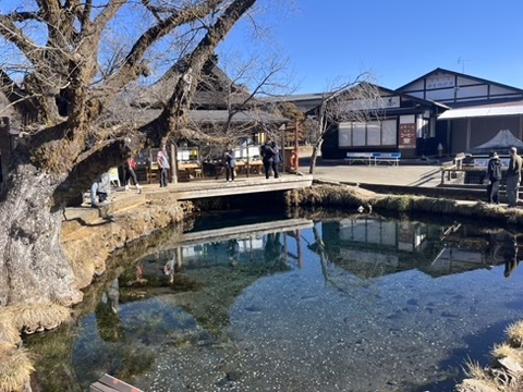 579F9441-1A17-4A0D-B79C-636F8ABCB40E_4_5005_c